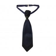 İş Kravatı Işıltılı